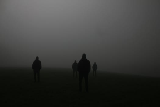 shadow of a group of people on a meadow in the night