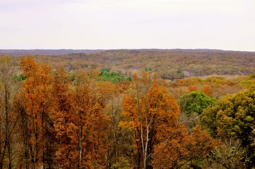 Brown County State Park