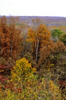 Brown County State Park