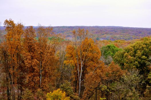 Brown County State Park