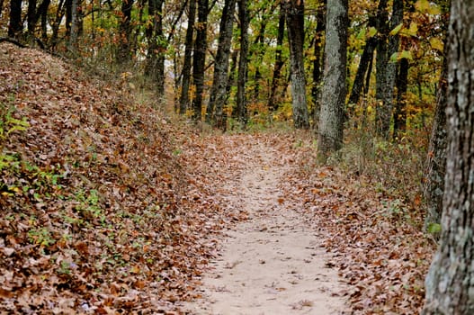 Brown County State Park