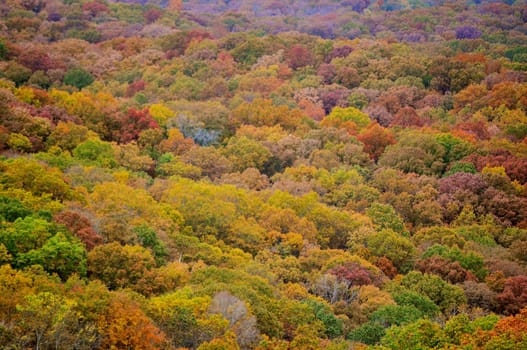 Brown County State Park