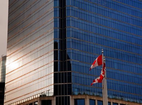 High-rise building and Canadian flags