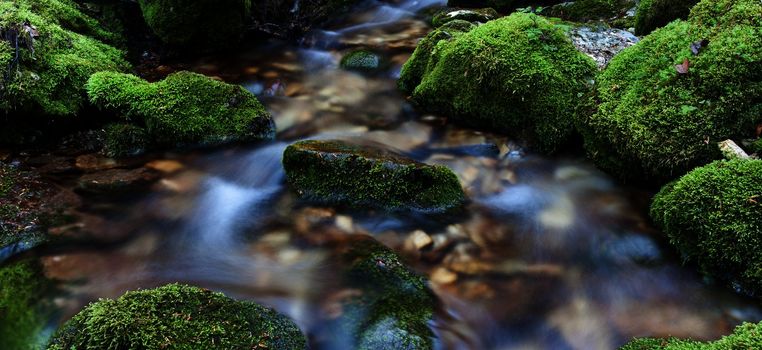Water flowing over rocks covered with moss in small stream.