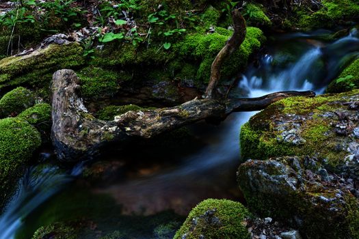 Water flowing over rocks covered with moss in small stream.