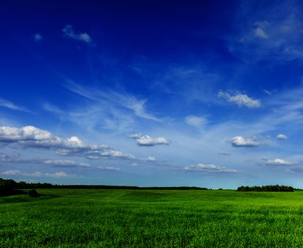 Spring summer background - green grass field meadow scenery lanscape with blue sky