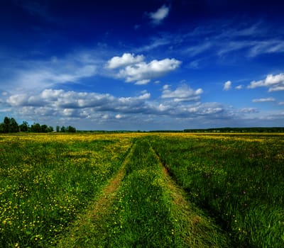 Spring summer background - rural road in  green grass field meadow scenery lanscape with blue sky