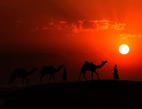 Rajasthan travel background - two indian cameleers (camel drivers) with camels silhouettes in dunes of Thar desert on sunset. Jaisalmer, Rajasthan, India