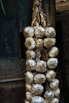 braids of garlic for sale in the historic market