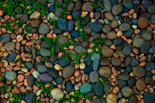 Color pebble stone background