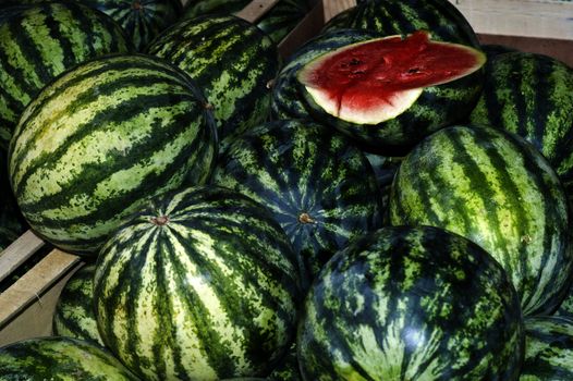 water melons for sale at the market