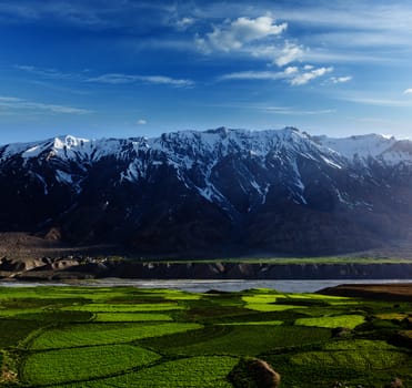 Spiti Valley -  snowcapped Himalayan Mountains. Himachal Pradesh, India