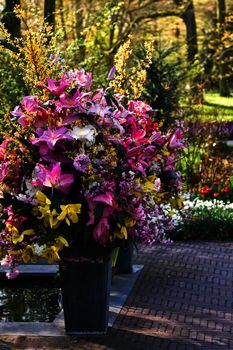 Big vases made up with colorful lilies and spring flowers in early morning sun