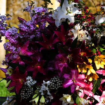 Close up flower arrangement with lilies and springflowers in morning sun
