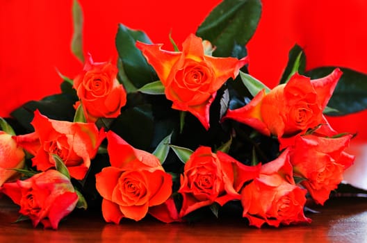 Orange roses with orange background - horizontal