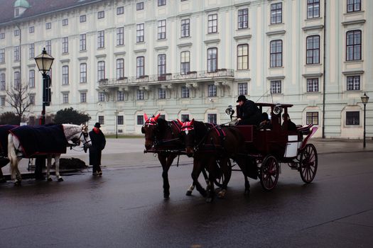 Carriage ridding on the streets of Vienna, Austia