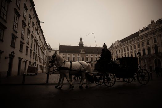 Carriage ridding on the streets of Vienna, Austia