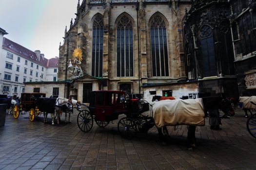 Traditional horse coach in front of Cathedral Saint Stefan, Vienna, Austria