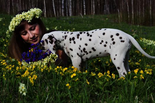 The girl and the Dalmatian puppy dog  in the forest clearing