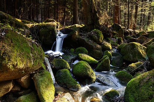 The river runs over boulders in the primaeval forest - HDR