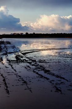 View of the marshlands on Ria Formosa national park in the Algarve, Portugal.