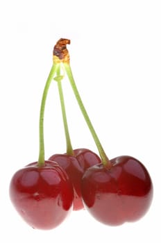 Twin cherry isolated on a white background