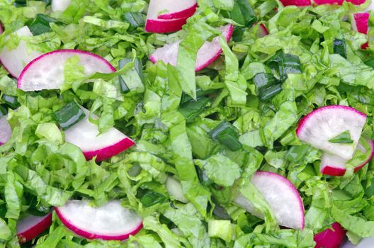 Green salad with red radish as background