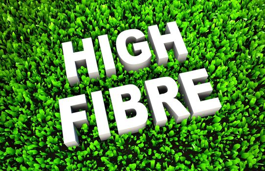 High Fiber Dietary Foods as a Concept on Grass