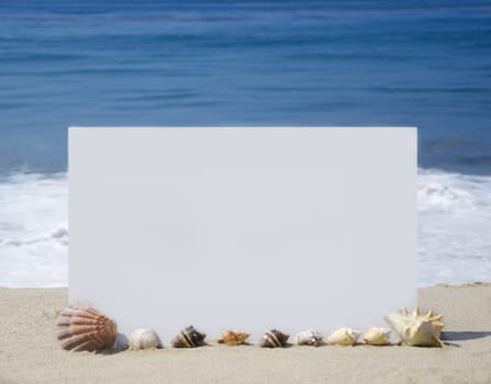 White board with seashells on sandy beach 