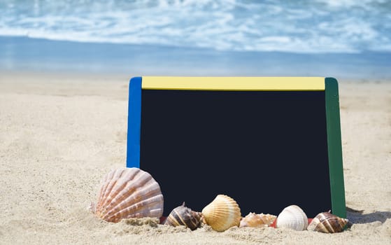 Black board with seashells on sandy beach 