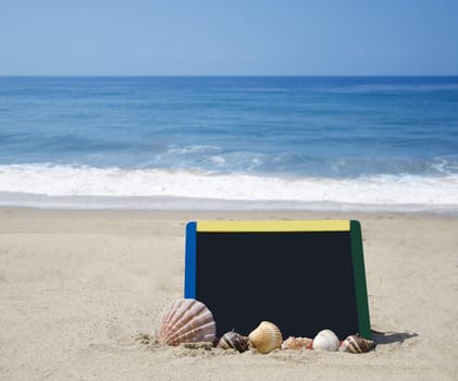 Black board with seashells on sandy beach on ocean background