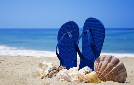 Flip-flops with seashells on sandy beach