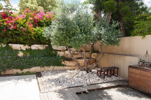 Beauatiful classical Mediterranean garden with blooming flowers and an olive tree