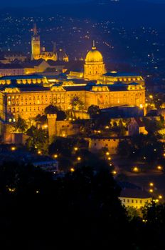 view of the castle of Budapest, Hungary