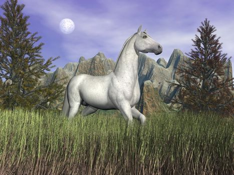 Beautiful white horse standing in long grass in front of a mountain and next to fir trees by cloudy night