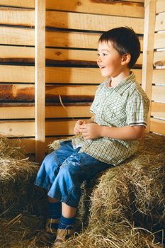 beautiful small boy on hayloft at sunny day