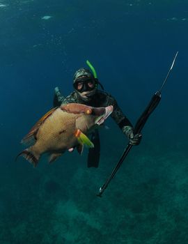 man spear fishing with a spear gun underwater with hogfish