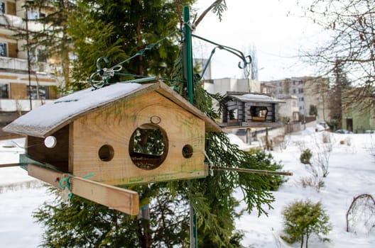 small bird feeder hanging on a branch in the city park