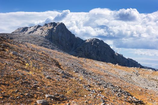 Mountain plateau in the autumn. Khibiny mountains. North Of Russia