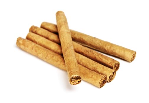 little cigars close up, isolated on white