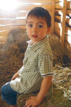 beautiful small boy on hayloft at sunny day