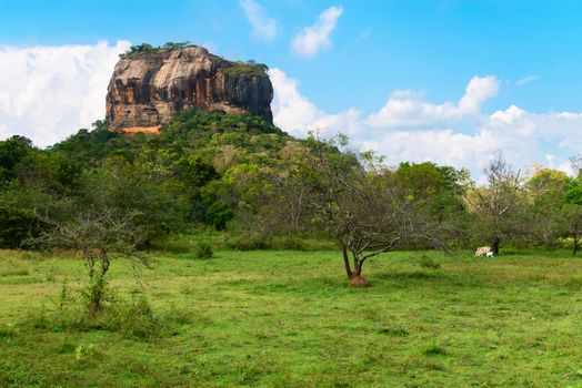 High rock under green forest. Sigiriya, Lion's rock with ancient rock fortress temple. Sri Lanka 