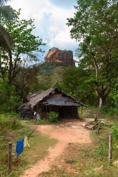 Shack in front of high rock under green forest. Sigiriya, Lion's rock with ancient rock fortress castle. Sri Lanka 