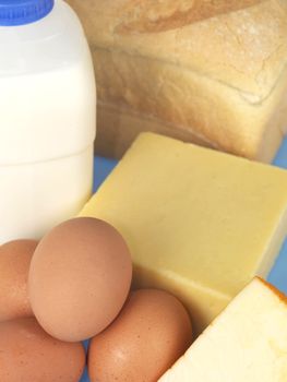 Milk Cheese Eggs and Bread Protein Foods Isolated White Background