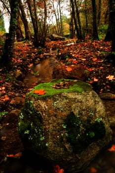View of beautiful autumn set on a creek in Monchique, Portugal.