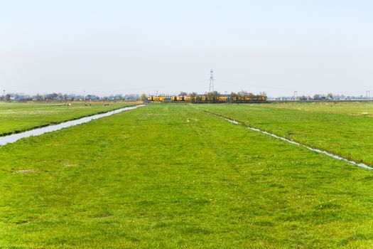 Train passing by in typical Dutch country landscape in spring - image can be cropped to panorama