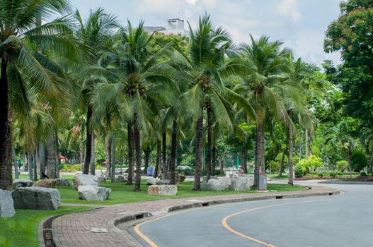 city park in bangkok, Thailand