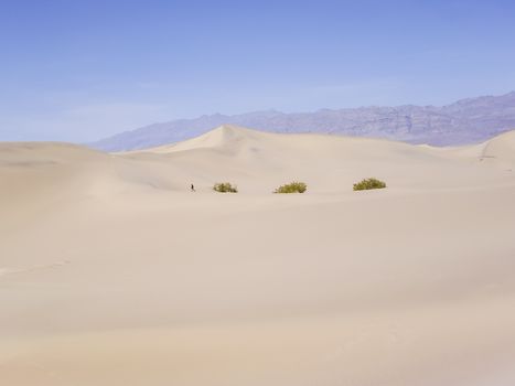 Photographer has to work for his image at Death Valley desert