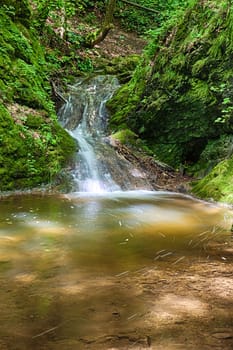 The river runs over cascades in the primeval forest - HDR