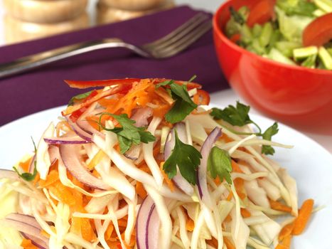 Carrot Cabbage and Onion Salad